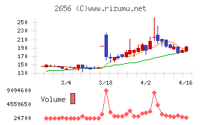 ベクターホールディングス