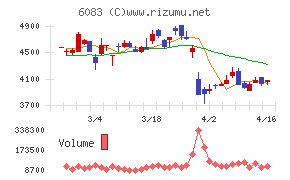 ＥＲＩホールディングス