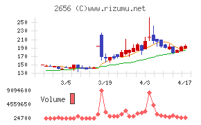 ベクターホールディングス