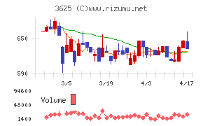 テックファームホールディングス