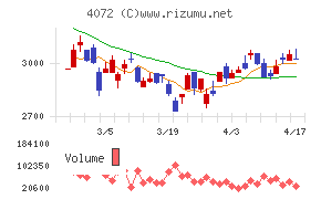 電算システムホールディングスチャート