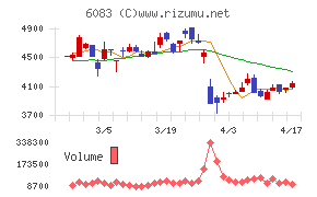 ＥＲＩホールディングス