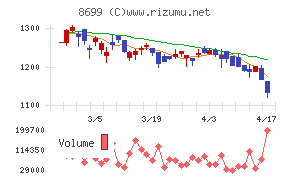 ＨＳホールディングス