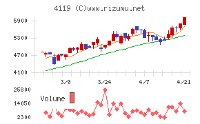 日本ピグメントホールディングス
