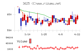 テックファームホールディングス