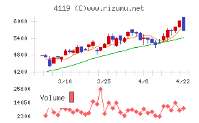 日本ピグメントホールディングス