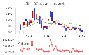 住石ホールディングス