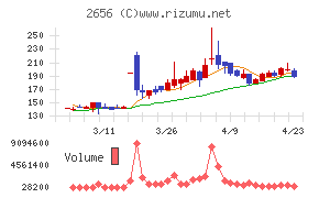 ベクターホールディングス