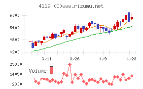 日本ピグメントホールディングス