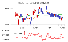 ＳＯＭＰＯホールディングス