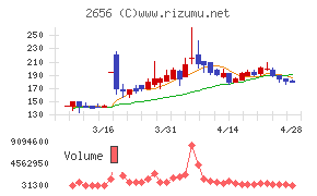 ベクターホールディングス