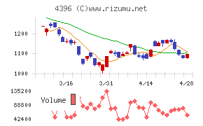 システムサポートホールディングスチャート