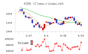 システムサポートホールディングスチャート