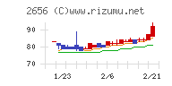 ベクターホールディングス